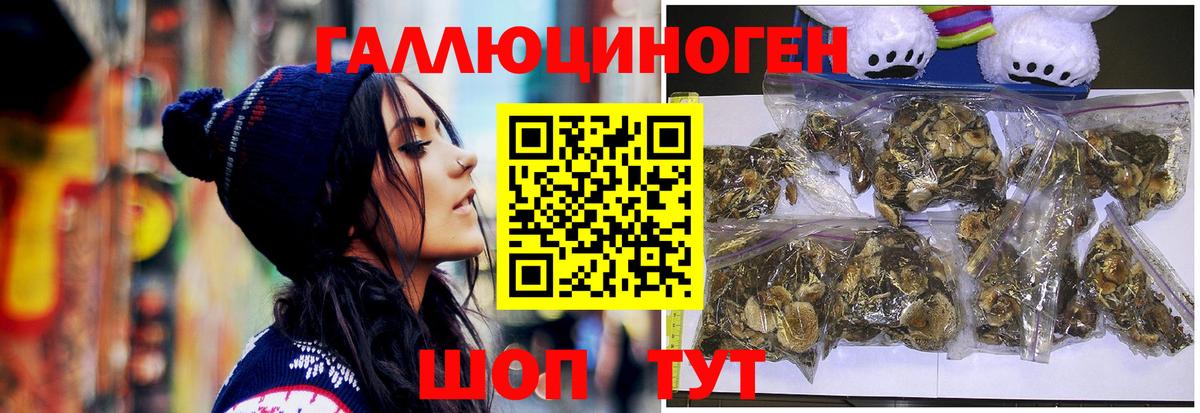 Галлюциногенные грибы мухоморы Ишим